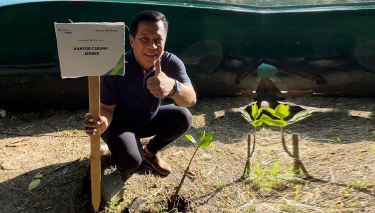 BPJS Ketenagakerjaan Jember Tanam 10.000 Bibit Mangrove Lewat Employee Volunteering ‘Go Green’
