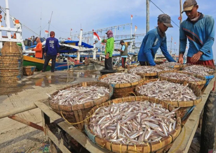 BPJAMSOSTEK sebut 486 ribu nelayan terlindungi asuransi hingga 2022